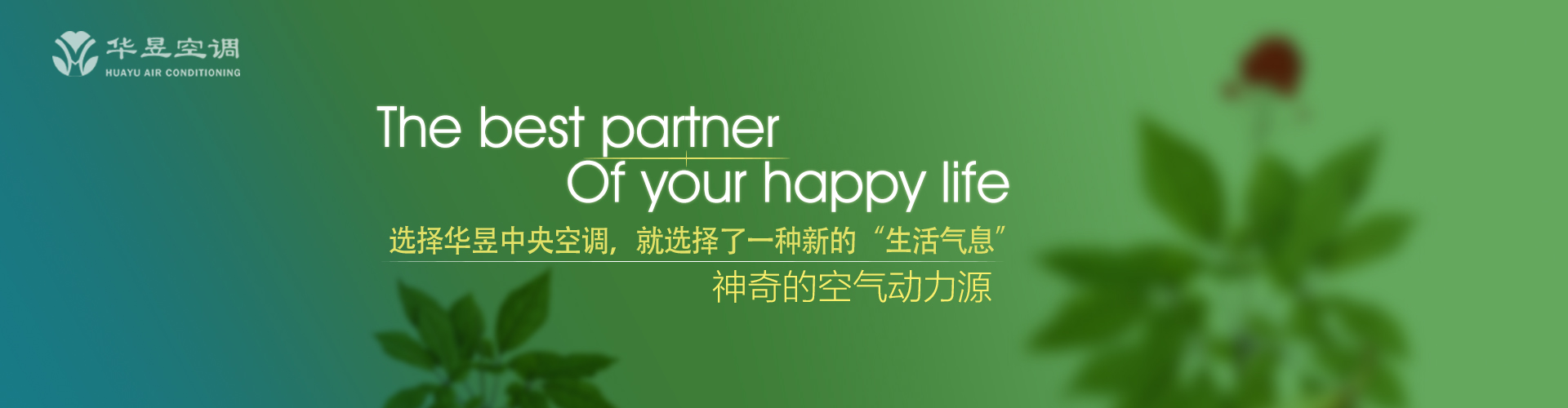 聯(lián)系方式